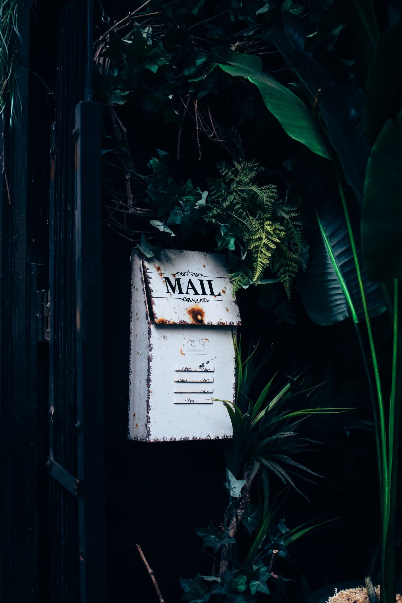Mailbox an Tür neben tropischen Pflanzen